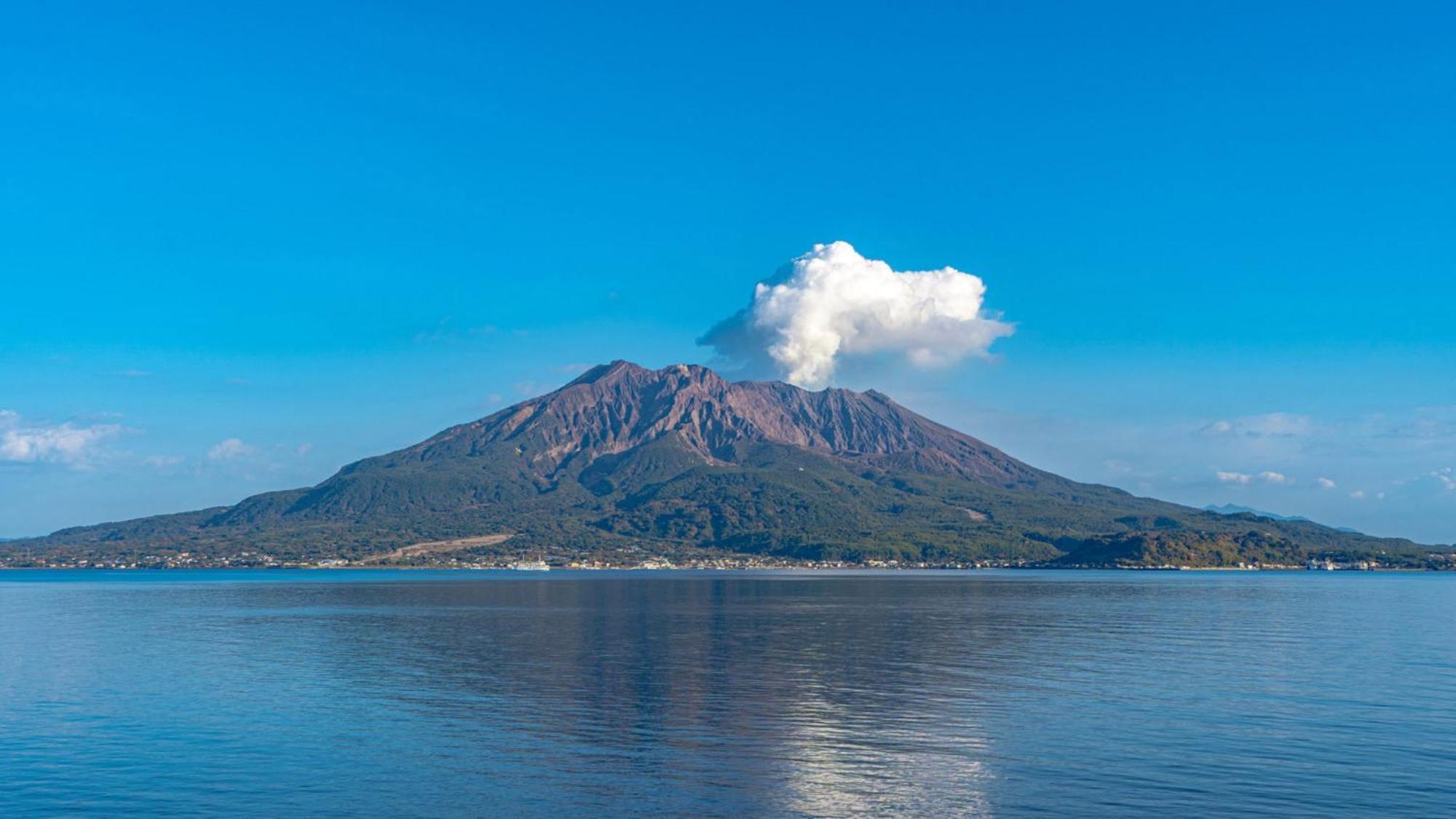 Toyoko Inn Kagoshima Chuo Eki Higashi Guchi Экстерьер фото